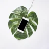 Economía Circular: por qué elegir iPhones reacondicionados