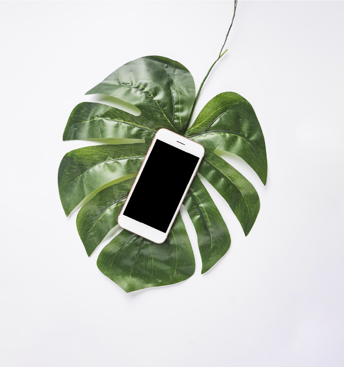 Economía Circular: por qué elegir iPhones reacondicionados